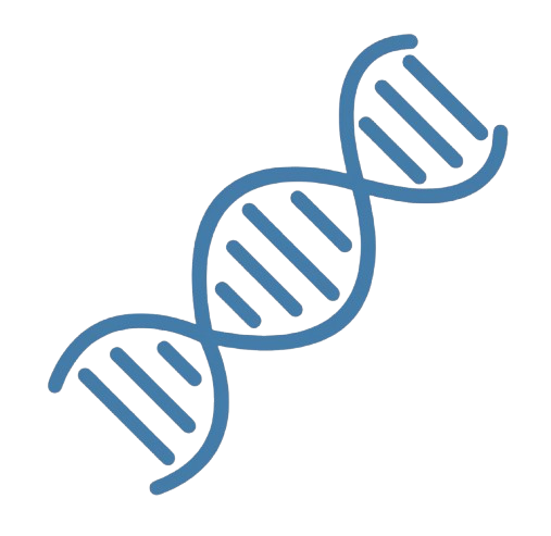 Dr. Dane Buxbaum N.D. PLLC logo which is an image of a brain.